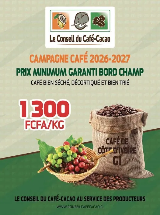 Affiche du Conseil du Café-Cacao annonçant 1 300 FCFA par kilo pour la campagne café 2026-2027.